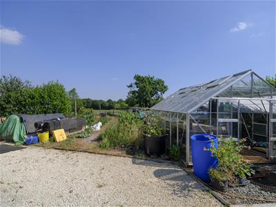 Picture 29
